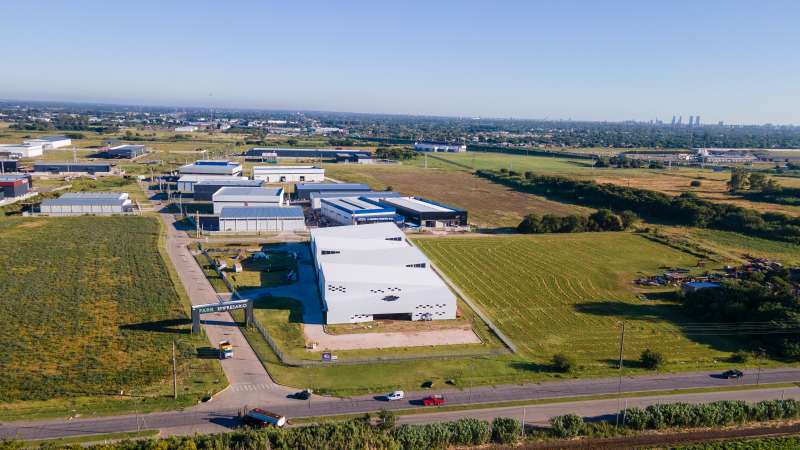 Planta Para la Industria Gráfica